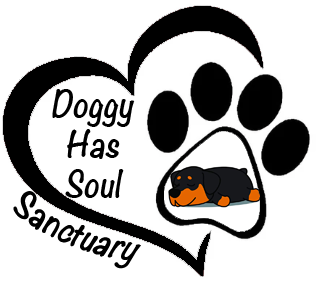 Feature Image for Doggy Has Soul Sanctuary